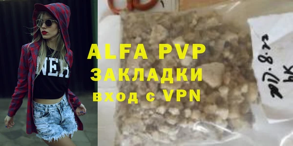 гашик Арсеньев