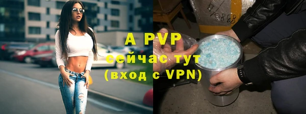 гашик Арсеньев