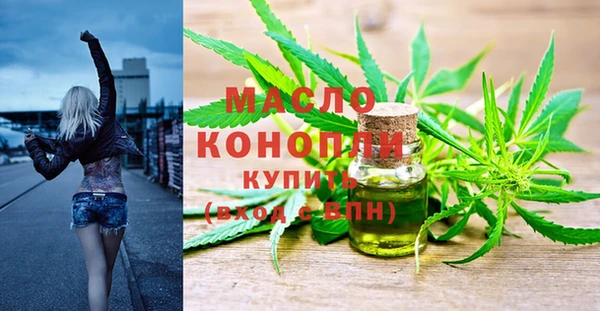 гашик Арсеньев