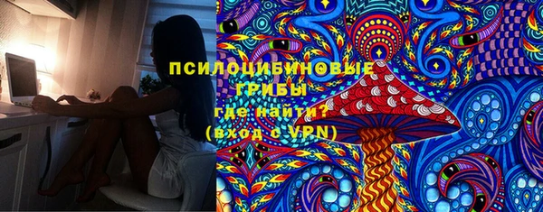 PSILOCYBIN Армянск