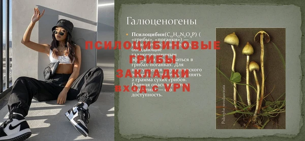 кокс Аркадак