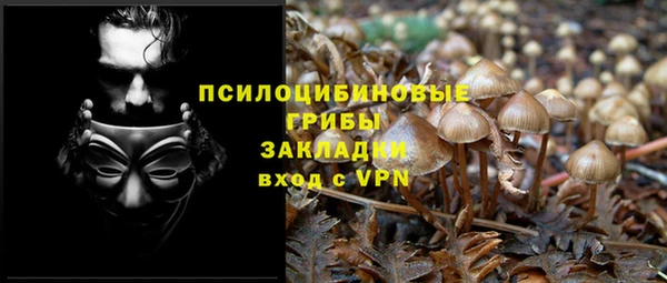 PSILOCYBIN Армянск