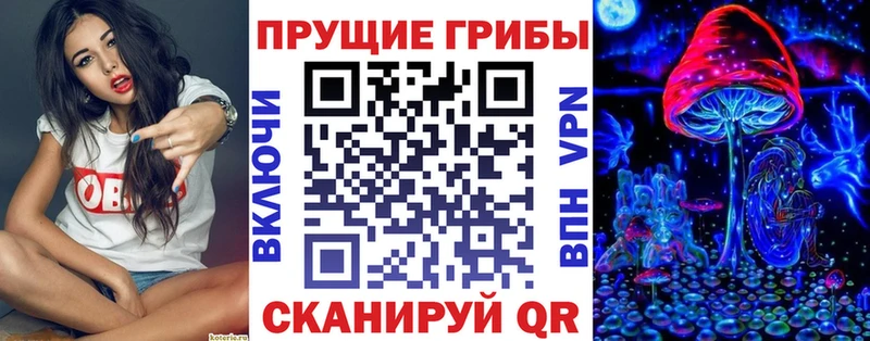 Галлюциногенные грибы Psilocybine cubensis  Купить где  Боготол 